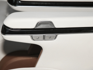 2025DM-i 1.5T 180km ׿Խ g