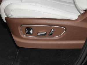 2025DM-i 1.5T 180km ׿Խ g