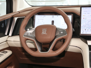 2025款DM-i 1.5T 180km 卓越型 中控区