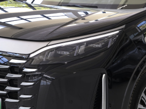 2025DM-i 1.5T 180km ׿Խ (x)(ji)^