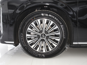 2025DM-i 1.5T 180km ׿Խ (x)(ji)^