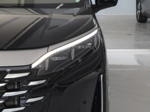 2025款DM-i 1.5T 180km 卓越型 细节外观