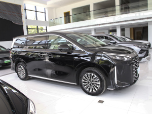 2025款DM-i 1.5T 180km 卓越型 整体外观
