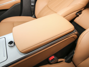 2025DM-i 200KM_Ş п؅^