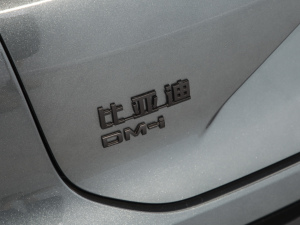 2025DM-i 200KM_(d)Ş (x)(ji)^