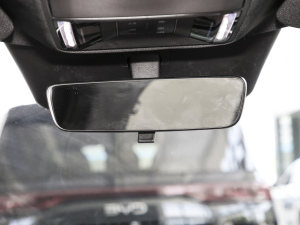 2025DM-i 200KM_Ş п؅^(q)