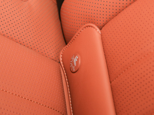 2025DM 200KM򌼤_Ş g