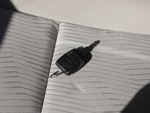 2019��1.5L �քӻ����� ��V ܇耳�