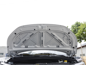 2020款1.5L 手动标准型 5座  其它