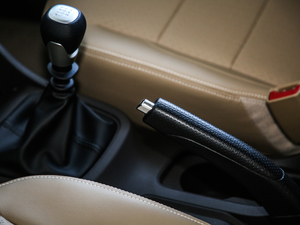 2020S 1.5L քӘ(bio)(zhn) v܇Ƅ