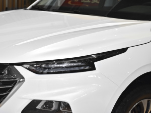 20201.5T CVTŞ^œ (ji)^