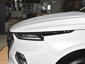 20201.5T CVTŞ^œ (ji)^