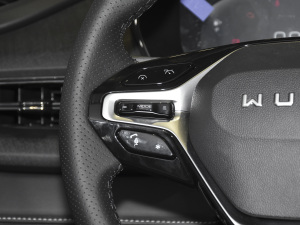 20201.5T CVTŞ^œ п؅^(q)