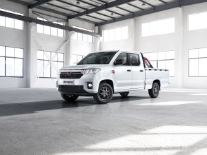 2021款1.5L 开拓型 整体外观