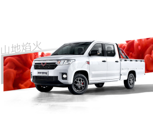 2021款1.5L 开拓型 整体外观