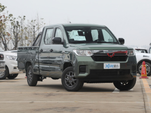 2021款1.5L 进取型 整体外观