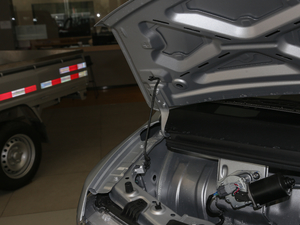 2021款汽车下乡版 1.5L 单排LV1 其它