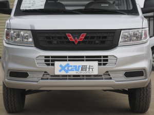 2021款汽车下乡版 1.8L 单排LV1 中网