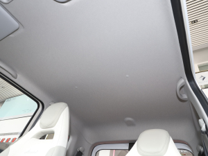 2021RAĿ 120km п؅^