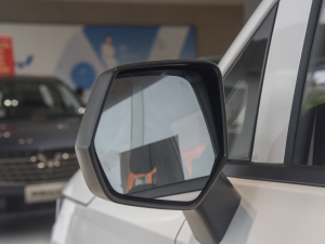 20211.5T քm (x)(ji)^