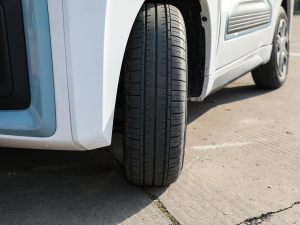 2021���ۿ� �������^