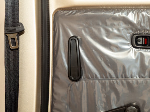 2021��1.5L ��ȡ��  ���g����