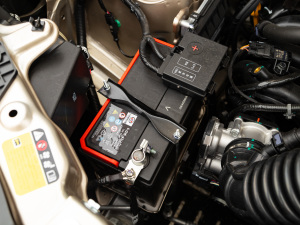 2021��1.5L ��ȡ��  ����