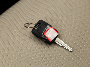 2021��1.5L ������ ����