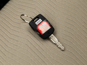 2021��1.5L ������ ����