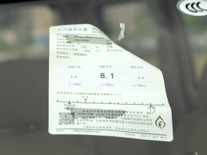 2021��1.5L ������ ����