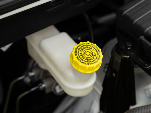 2021��1.5L ������ ����