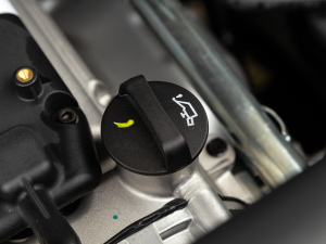 2021��1.5L ������ ����