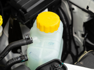 2021��1.5L ������ ����