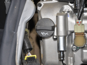 2021款加长版 1.5L 标准助力型 7座 其它
