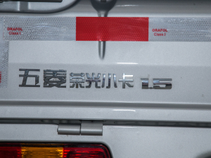 2021款1.5L 基本型单排 细节外观