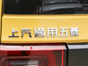 2022款马卡龙时尚款 磷酸铁锂 细节外观