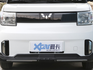 2022款GAMEBOY 300km 玩乐款 磷酸铁锂 中网