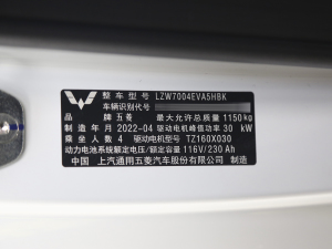 2022款GAMEBOY 300km 玩乐款 磷酸铁锂 其它