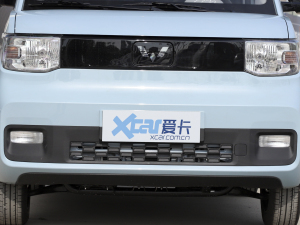 2022款自在款 磷酸铁锂 中网