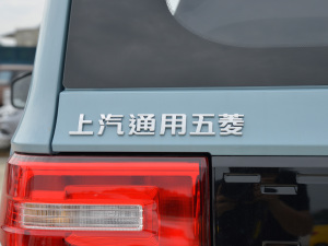 2022款自在款 三元锂 细节外观