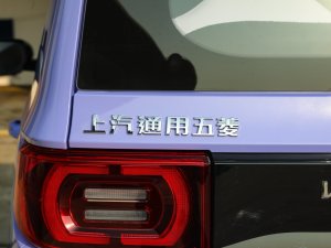 2022款马卡龙缤纷款 三元锂 细节外观