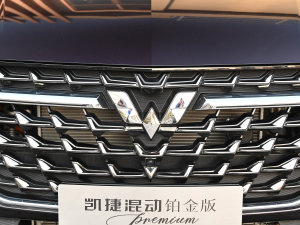 2023(dng)K 2.0L DHT (x)(ji)^