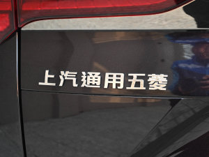 2023(dng)K 2.0L DHT (x)(ji)^