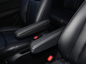 2022款1.5T 手动轻享活力型 后排中央扶手
