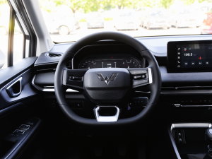 2022款1.5T 手动轻享活力型 方向盘