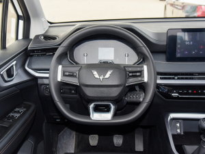 2022款1.5T 手动舒享活力型 方向盘