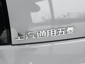 2023款两座-进阶版 细节外观