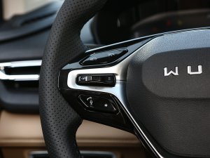 2023K 2.0L DHT п؅^