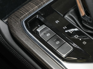 20232.0L DHTŞ v܇Ƅ