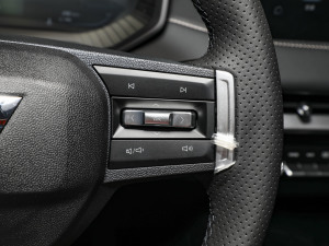 20232.0L DHTŞ п؅^(q)